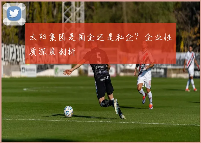 太阳集团是国企还是私企？企业性质深度剖析